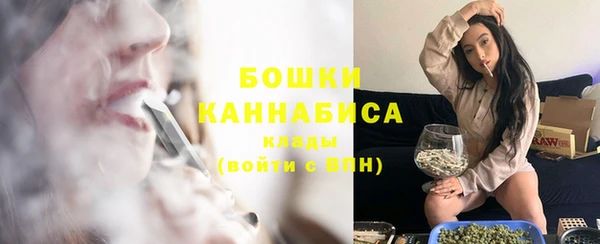 дурь Бородино